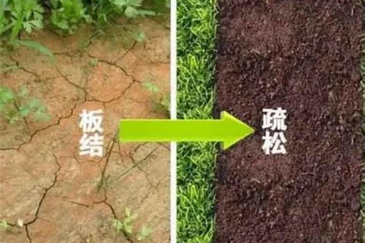 使用哪类化肥会使土壤板结