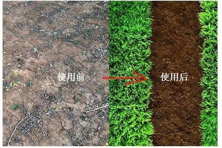 亚磷酸钾能和硅肥混用吗