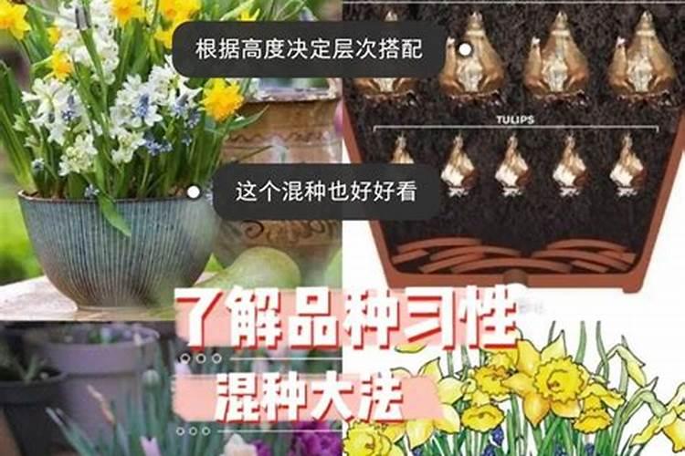 污水处理中的硝化反应
