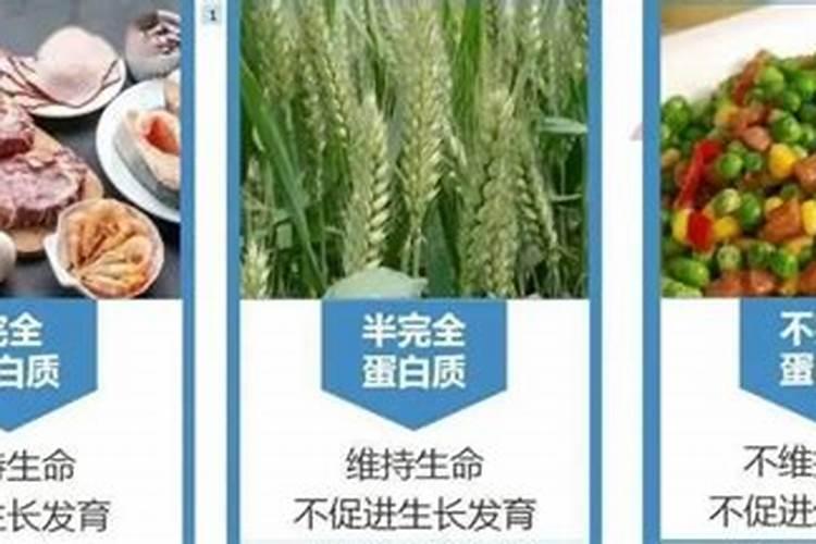 兰花需要施什么肥料