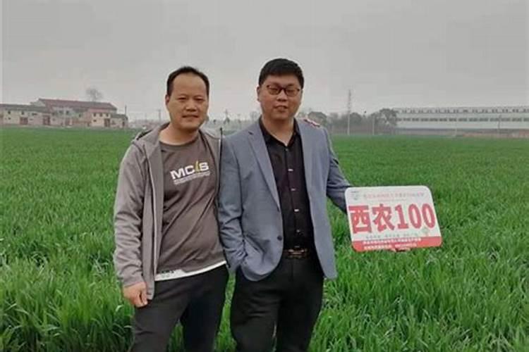 百香果施什么肥料最好