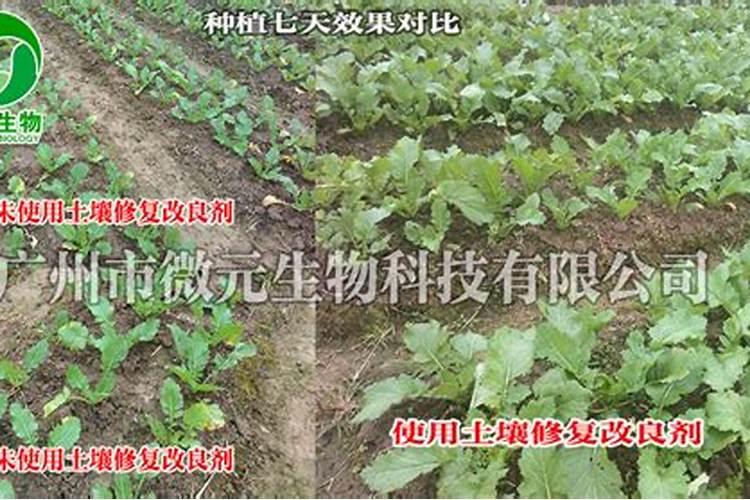 玉米打叶面肥好还是追尿素好