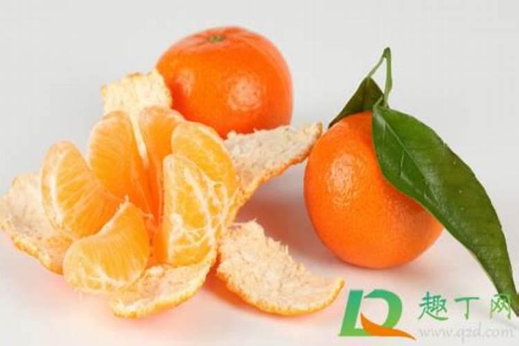 橘子皮可以做肥料吗？