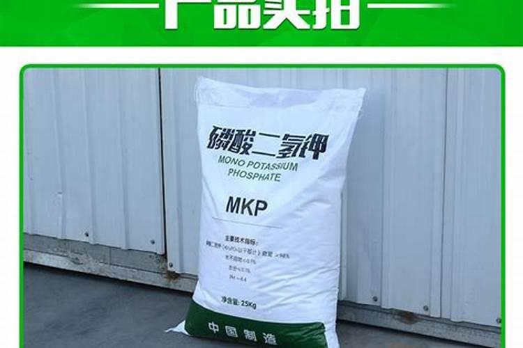 宁夏晓林生物科技有限公司怎么样？