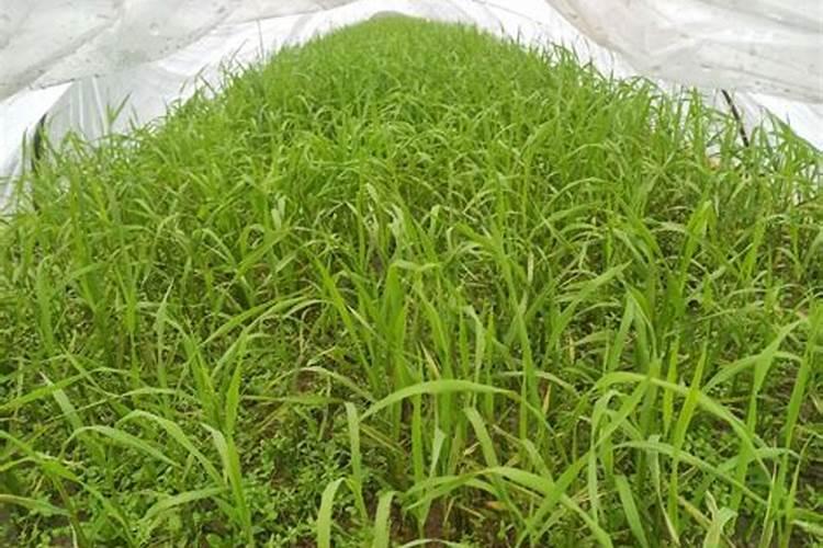 河北中量节能技术有限公司怎么样