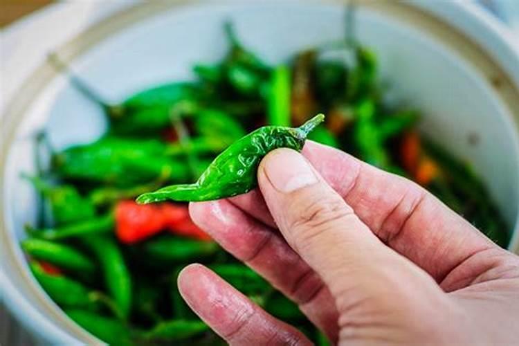 种植辣椒为什么还要喷醋？什么时候对辣椒喷醋能高产呢？