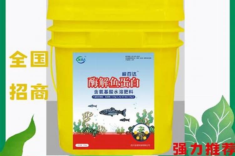 水溶肥后多久能浇水