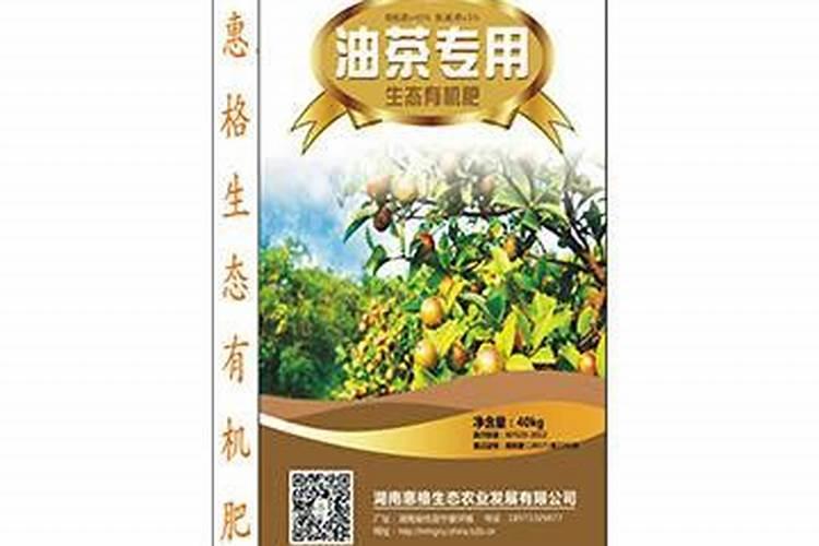 油茶树什么时候施肥