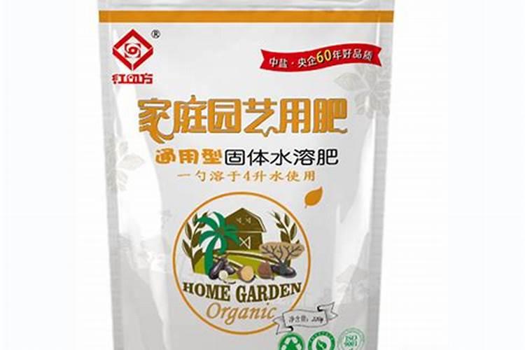 龙须树应上什么肥料
