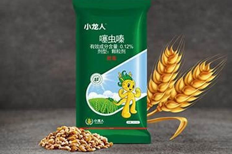 在红薯茬上种小麦需要什么类型的复合肥？