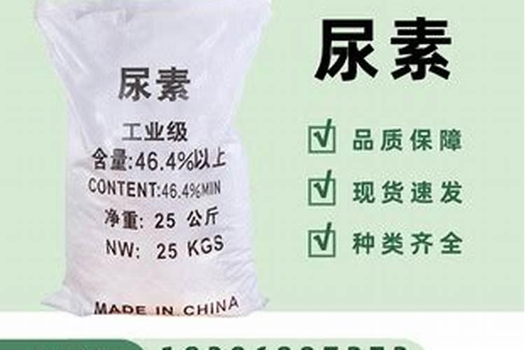 蔬菜叶子为什么会发黄
