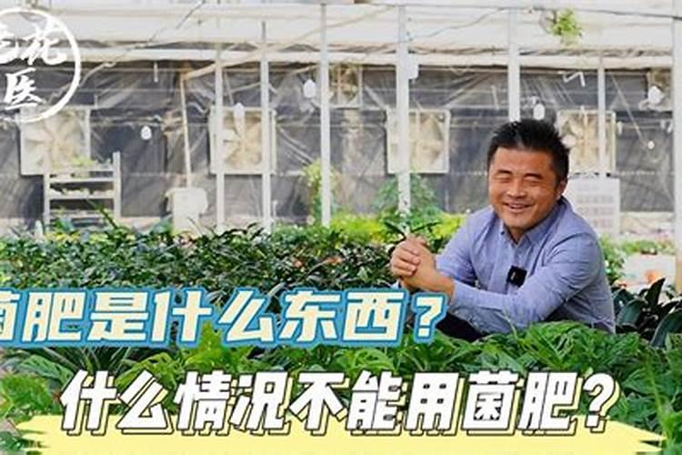 为什么红薯放时间长了会变甜而土豆放时间长了且不变甜？