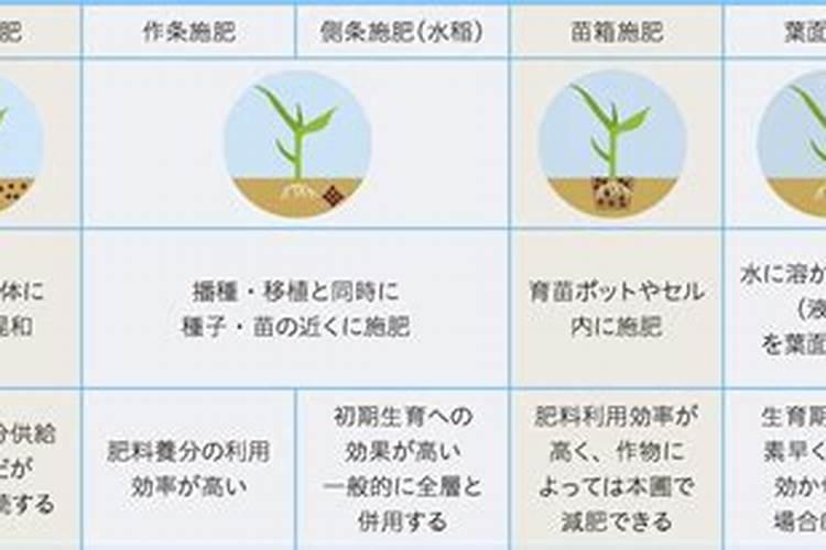 出藕时发现藕身长黑点黑线怎么办？