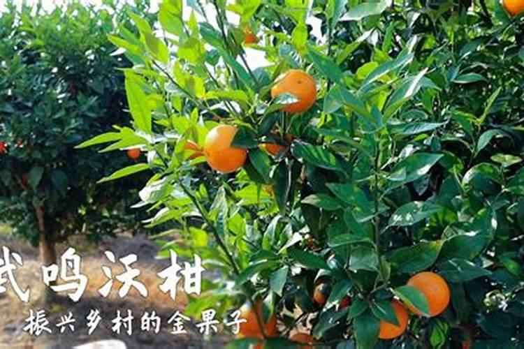 北流日用陶瓷工业园区园区品牌