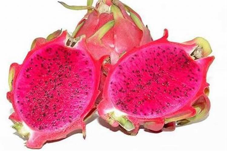 羽毛枫树怎样施肥