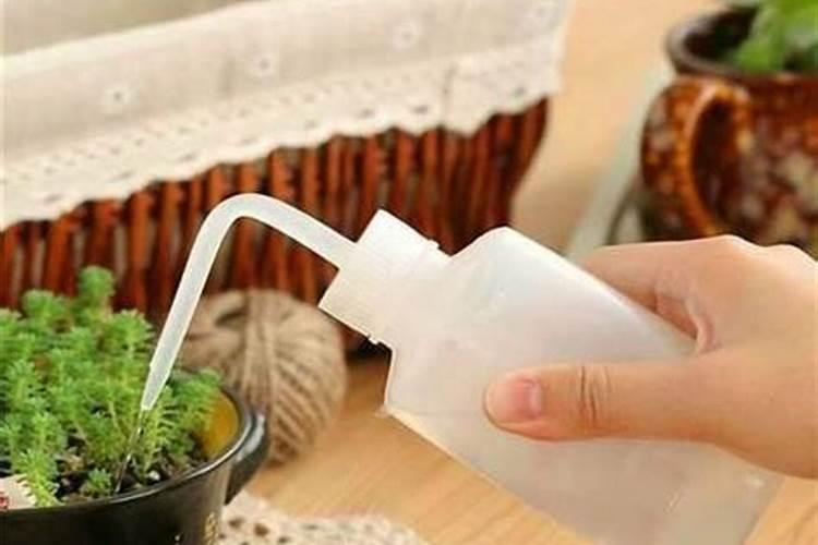 山楂树用什么肥料最好