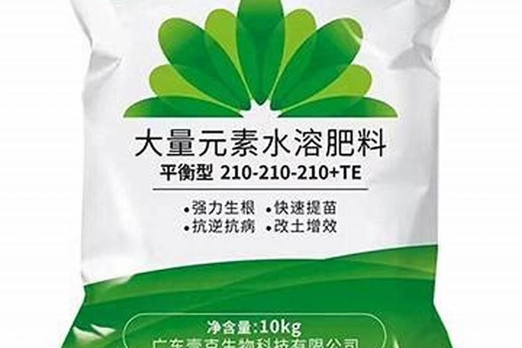 桑葚打农药吗
