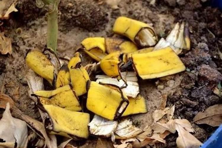 水稻除草剂药害症状及补救措施 除草剂什么时候打效果好