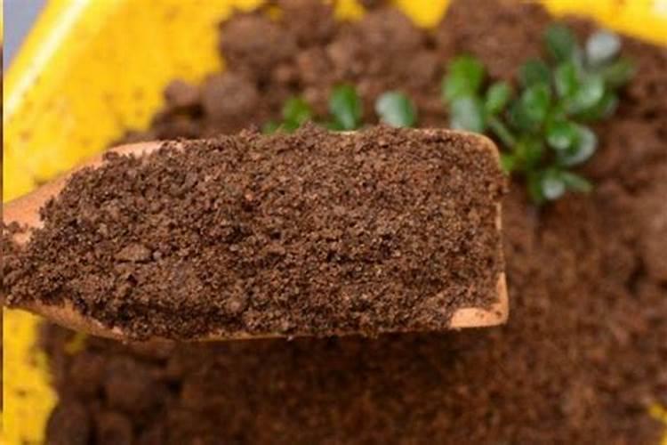 为什么要给农作物施肥 为啥要给农作物施肥