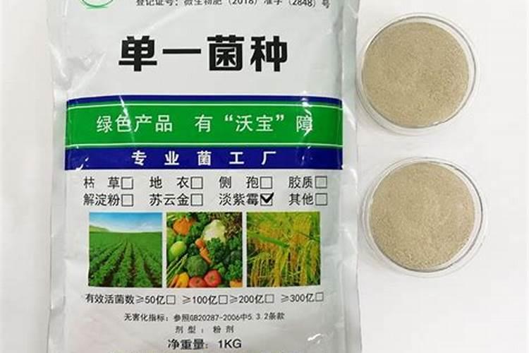 发酵有机肥用什么菌