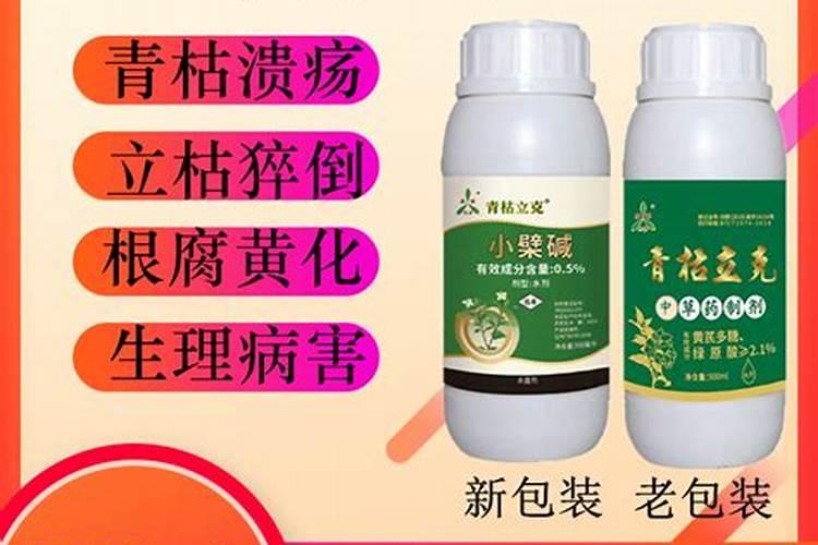 冬枣脱青发白发红