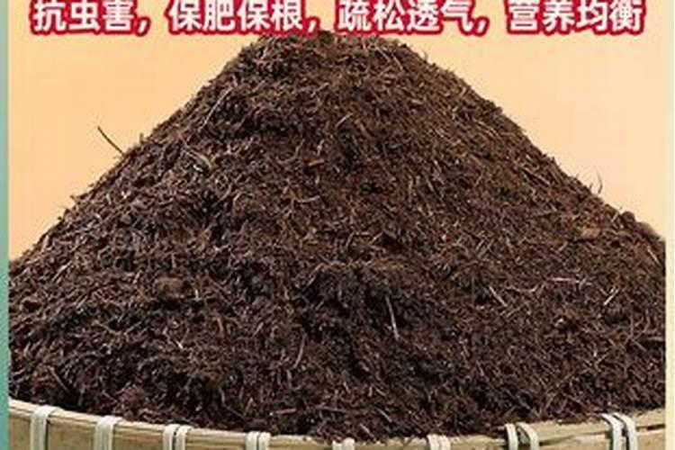 磷肥可以种果树吗？