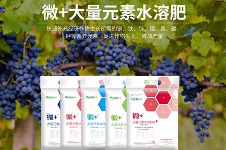 无锡中微高科电子有限公司怎么样？
