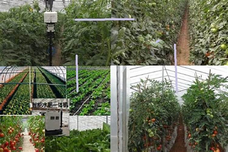 我想请问一下氮肥、磷肥(磷酸二铵)、钾肥(氯化钾)的价格分别是多少