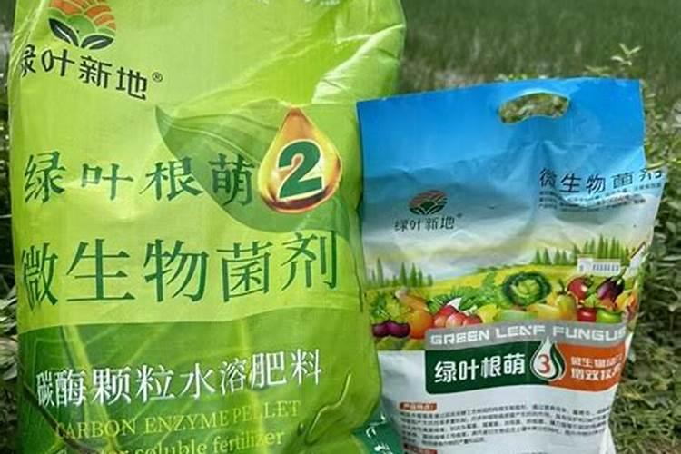 马蹄施什么肥料