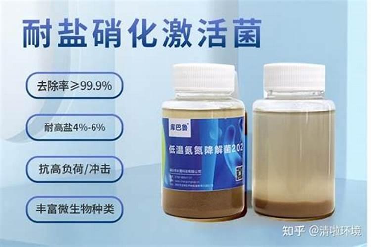 怎样快速降解水中的氨氮