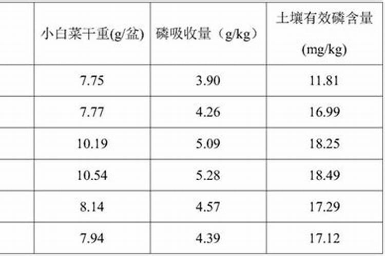 施肥什么叫冲施