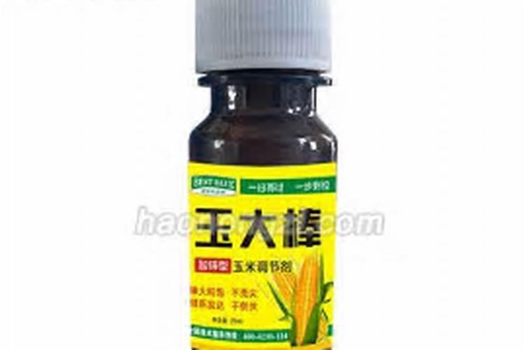 玉米矮大棒啥时候打效果好 使用注意事项有哪些