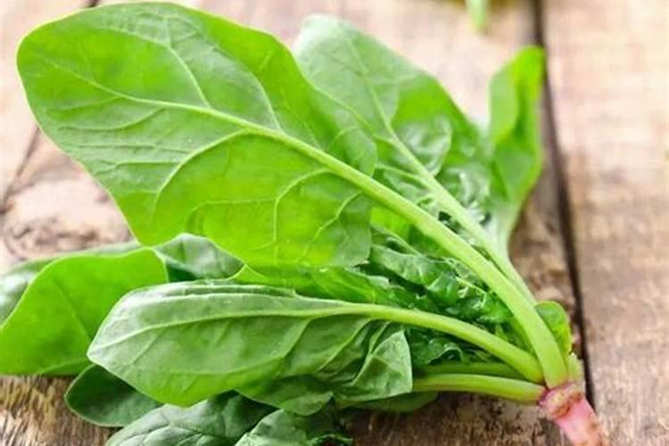 刚出苗的菠菜,需要施肥吗？施什么肥好？