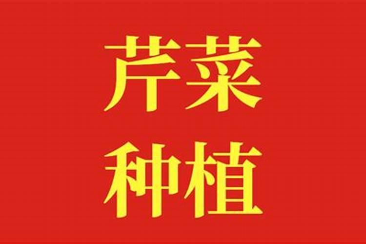花叶万年青肥方法,用什么肥好