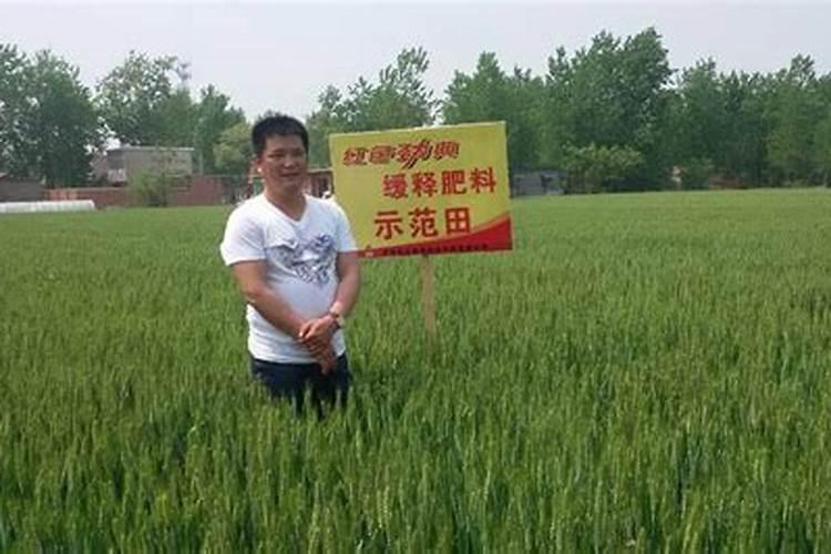树脂包衣控释肥哪家好、