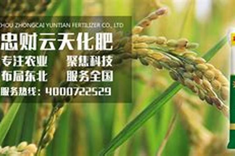 山东宜苗壮生物科技有限公司怎么样？