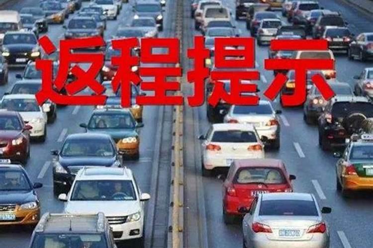 大葱烂根是什么原因打什么药啊