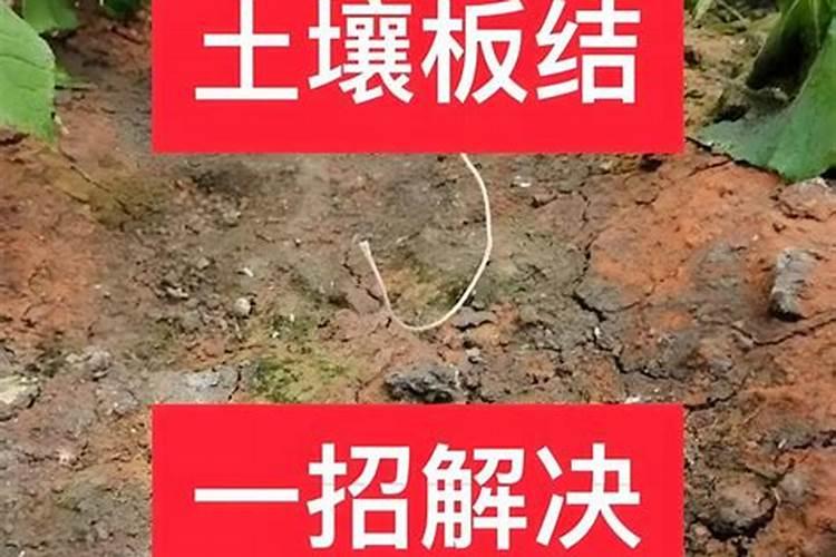 使用哪种氮肥引起土壤板结