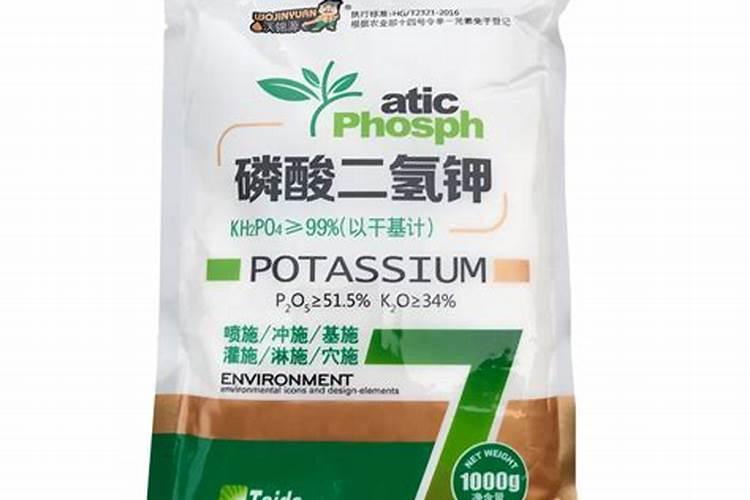 观叶植物用什么肥料好 观叶植物施什么肥为主