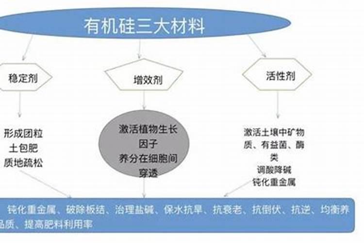 植物缺镁用什么补
