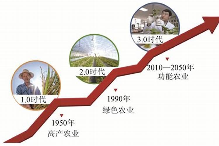 种地瓜用什么肥料最好