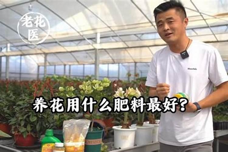 养花用有机肥好还是复合肥好