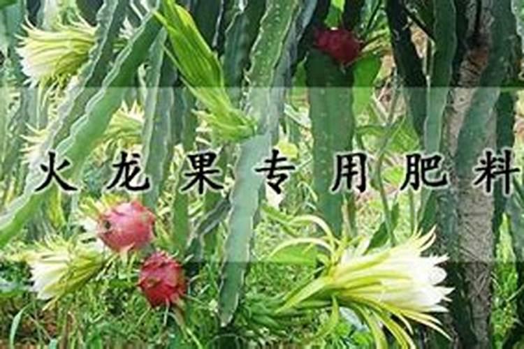 柠檬酸能浇花吗