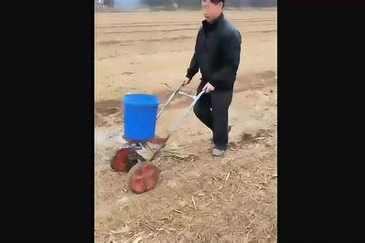什么是磷肥和钾肥