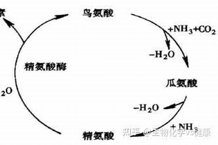 尿素里的氮肥埋地后有效期是多长时间？