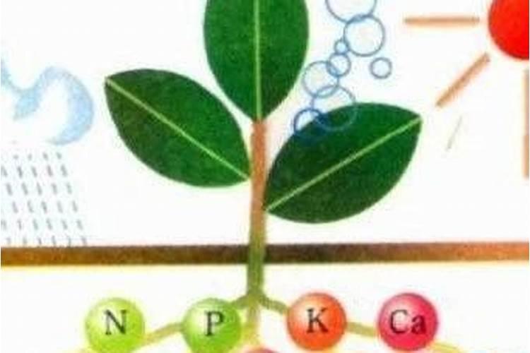 济南草本润方生物科技有限公司怎么样？