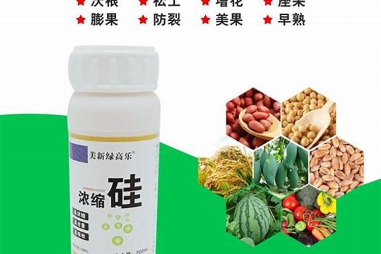 养花用什么肥料 花卉开花多