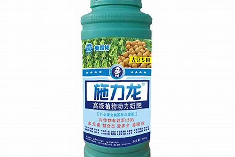 黄金瓜的种植方法和时间 种植技术要点