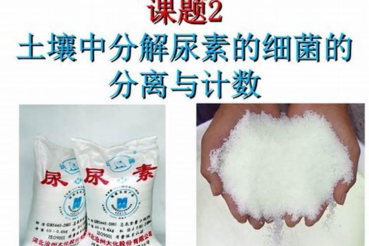 尿素加热到多少度会变成什么？