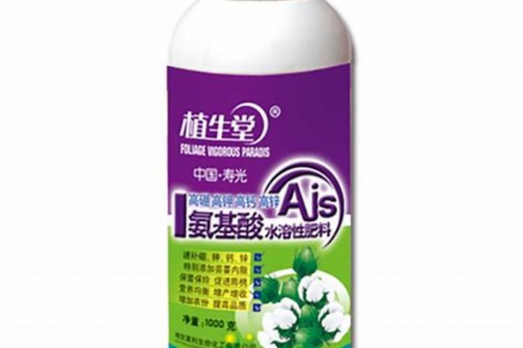 茶叶氨基酸的功效与作用点